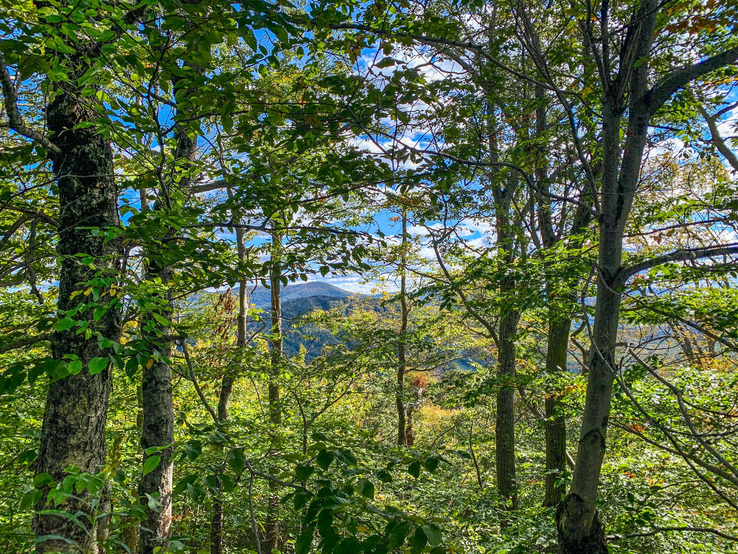 Lot 11a-30.60 acres combined parcels