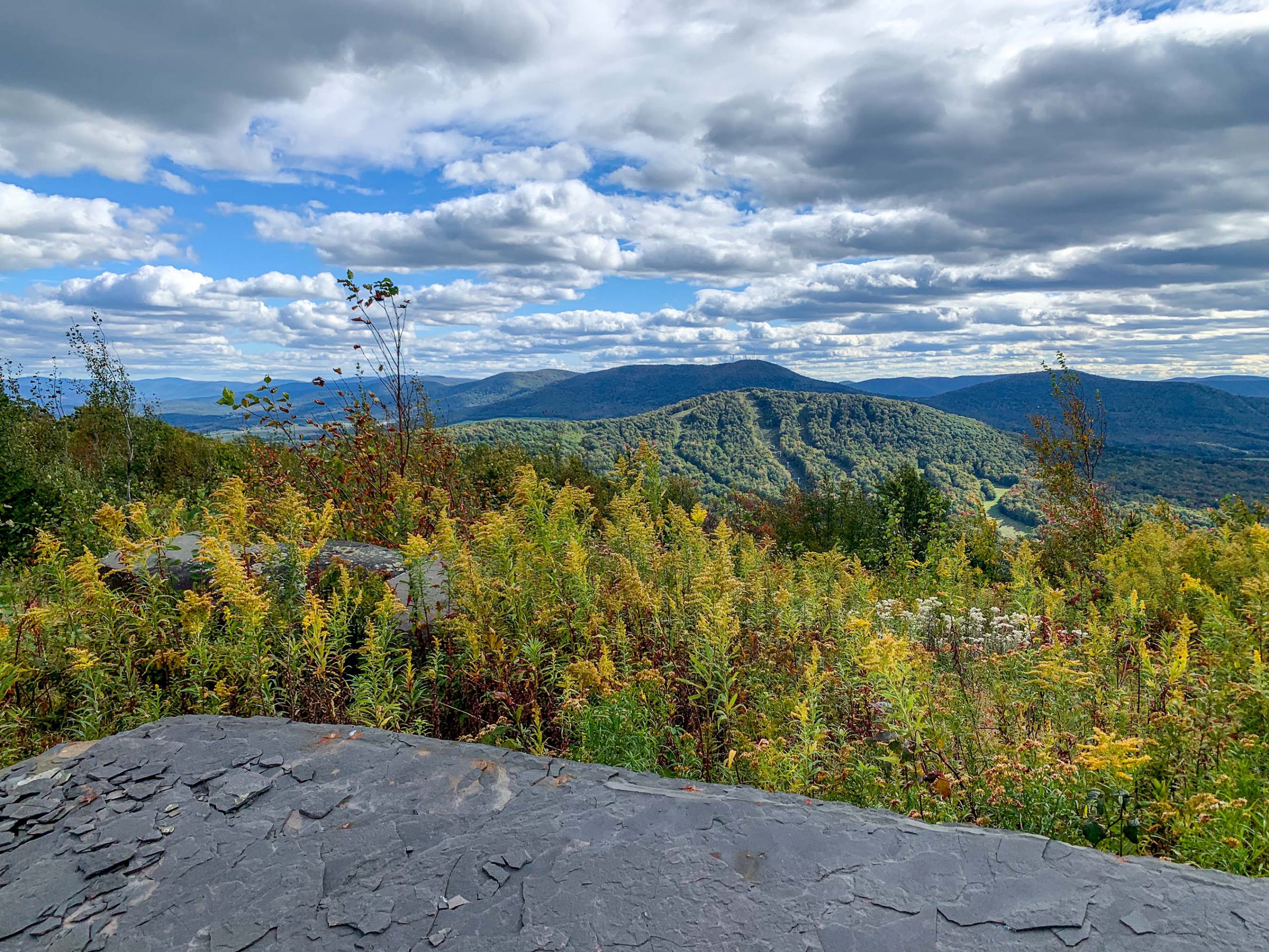 Lot 11a-30.60 acres combined parcels