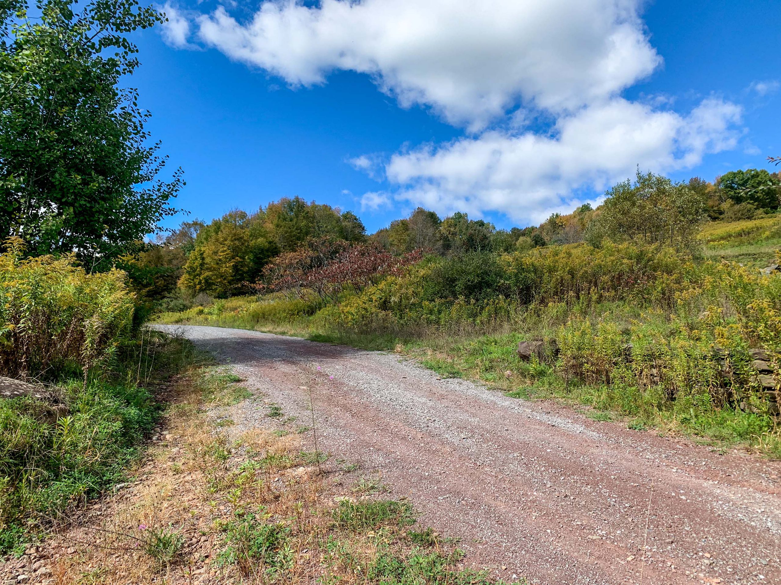 Lot 9-30.60 acres combined parcels