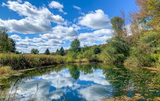 Lot 9-30.60 acres combined parcels