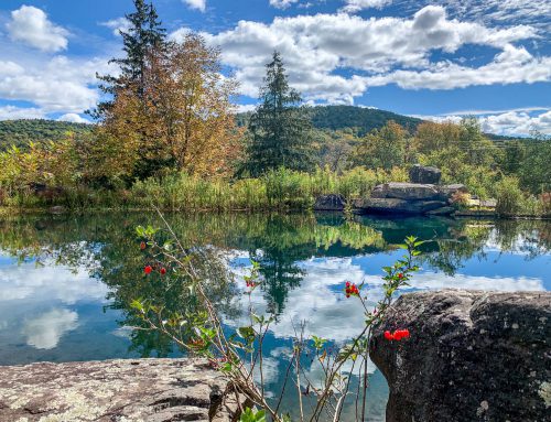 Lot  9-30.60 acres combined parcels
