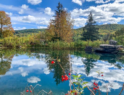Lot  9-30.60 acres combined parcels