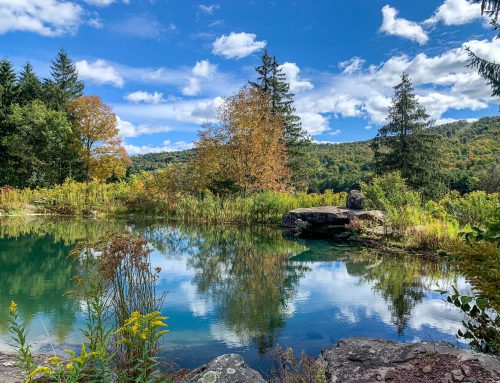Lot  9-30.60 acres combined parcels