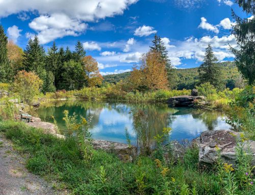 Lot  9-30.60 acres combined parcels