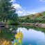 Lot 9-30.60 acres combined parcels