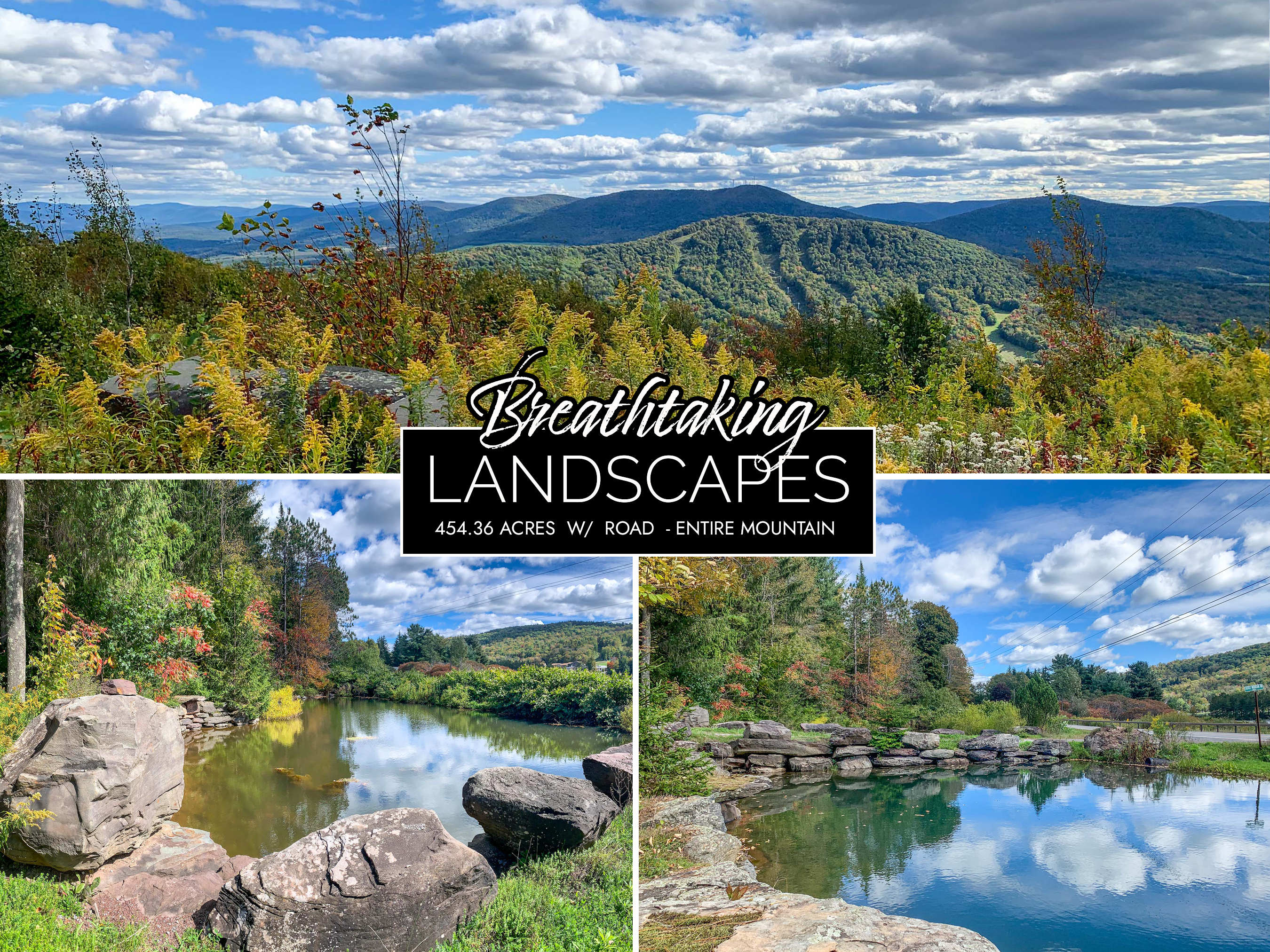 Entire Mountain for sale 454.36 Acres